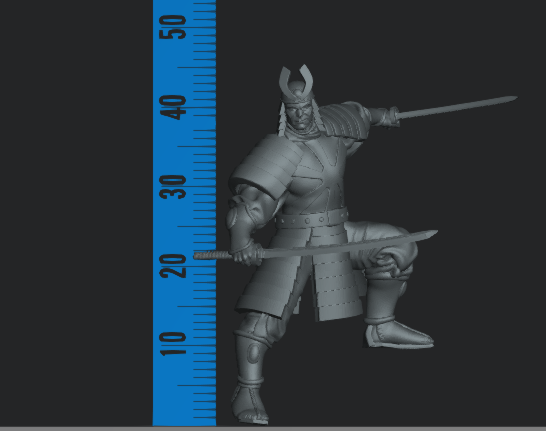 Silberner Samurai-FanArt