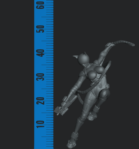 Absolute Catwoman FanArt