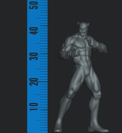 Wildcat FanArt