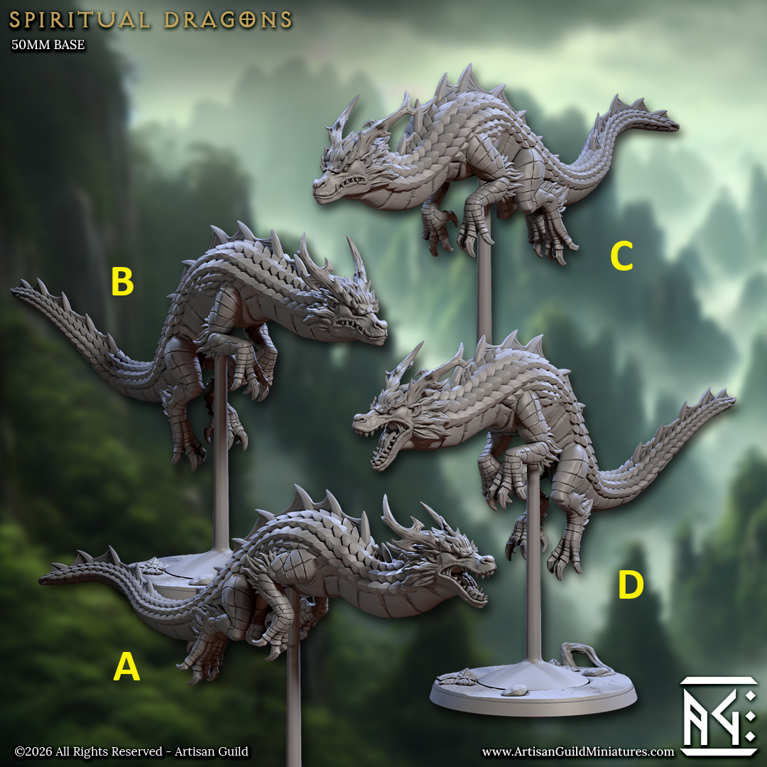 Spiritual Dragon Riders