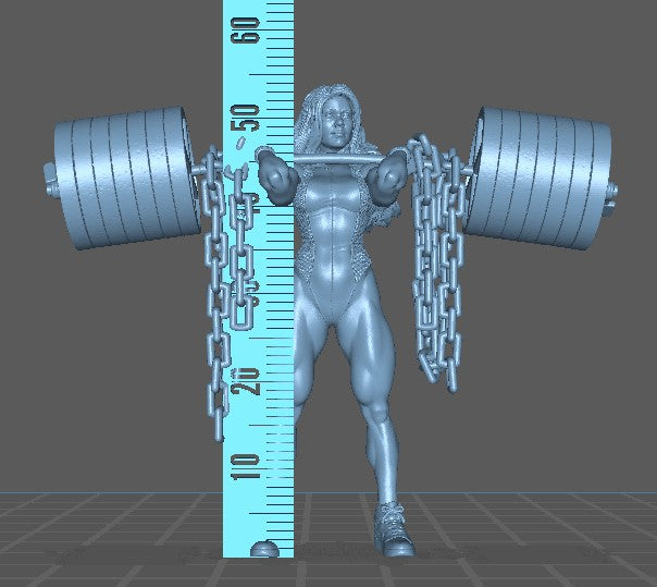 Single female lawyer