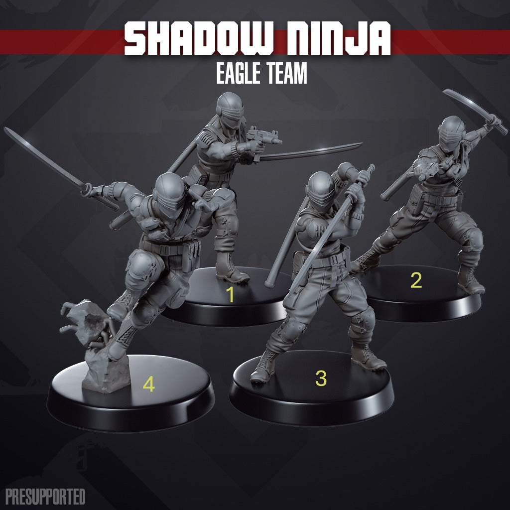 Shadow Ninja Eagle Team