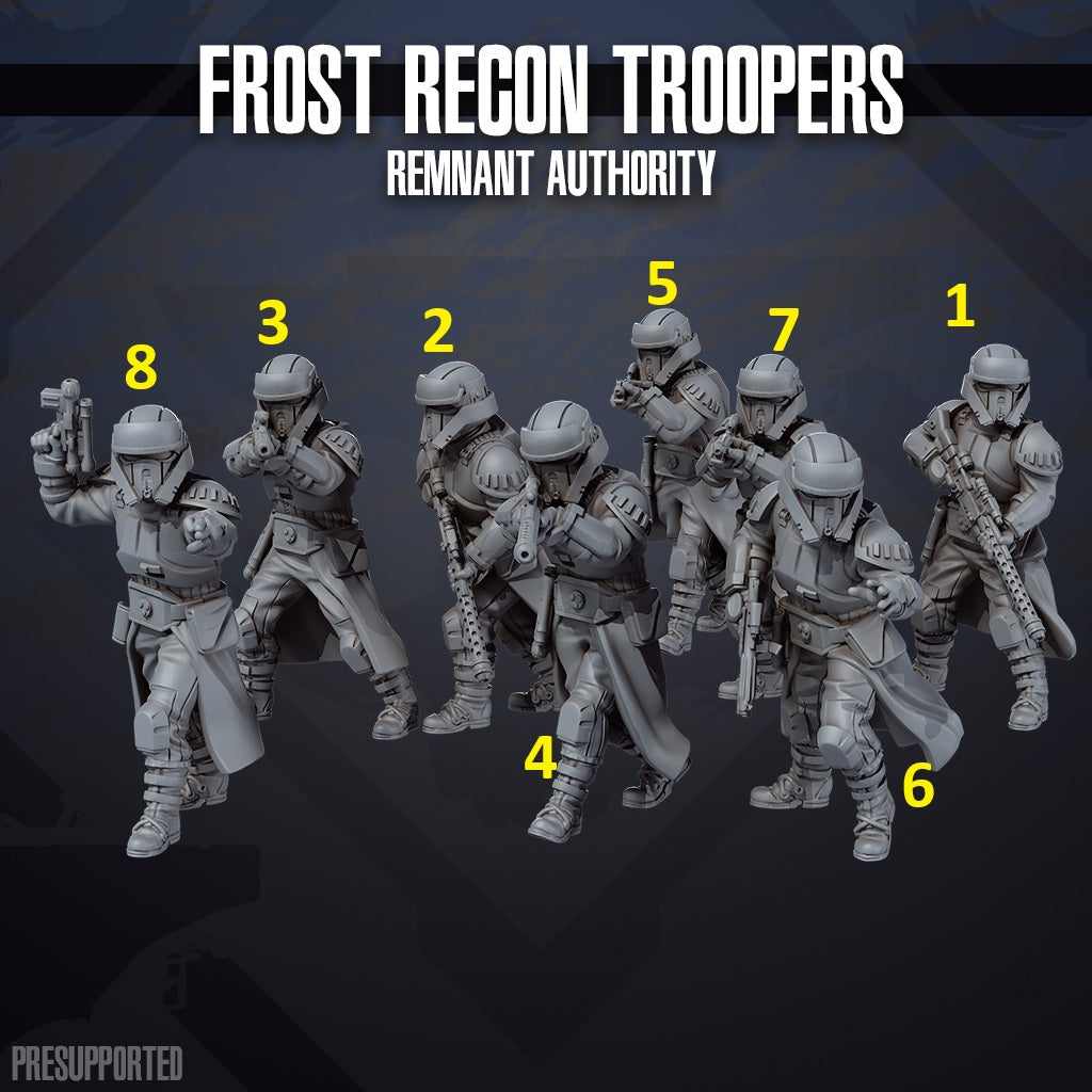 Frost Recon Troopers Remnant