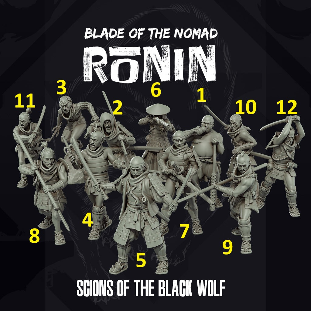 Ronin Scions of the Black Wolf