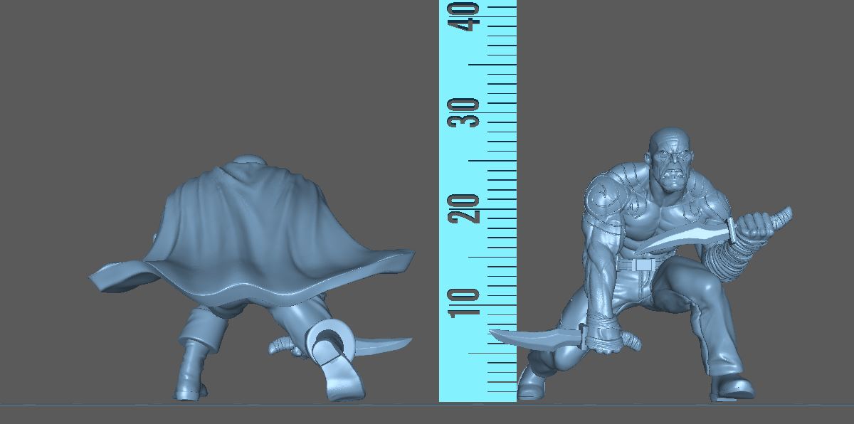 the invisible warrior