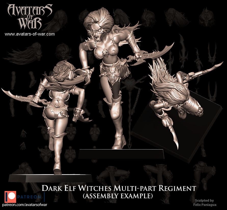 Dark Elf Witches