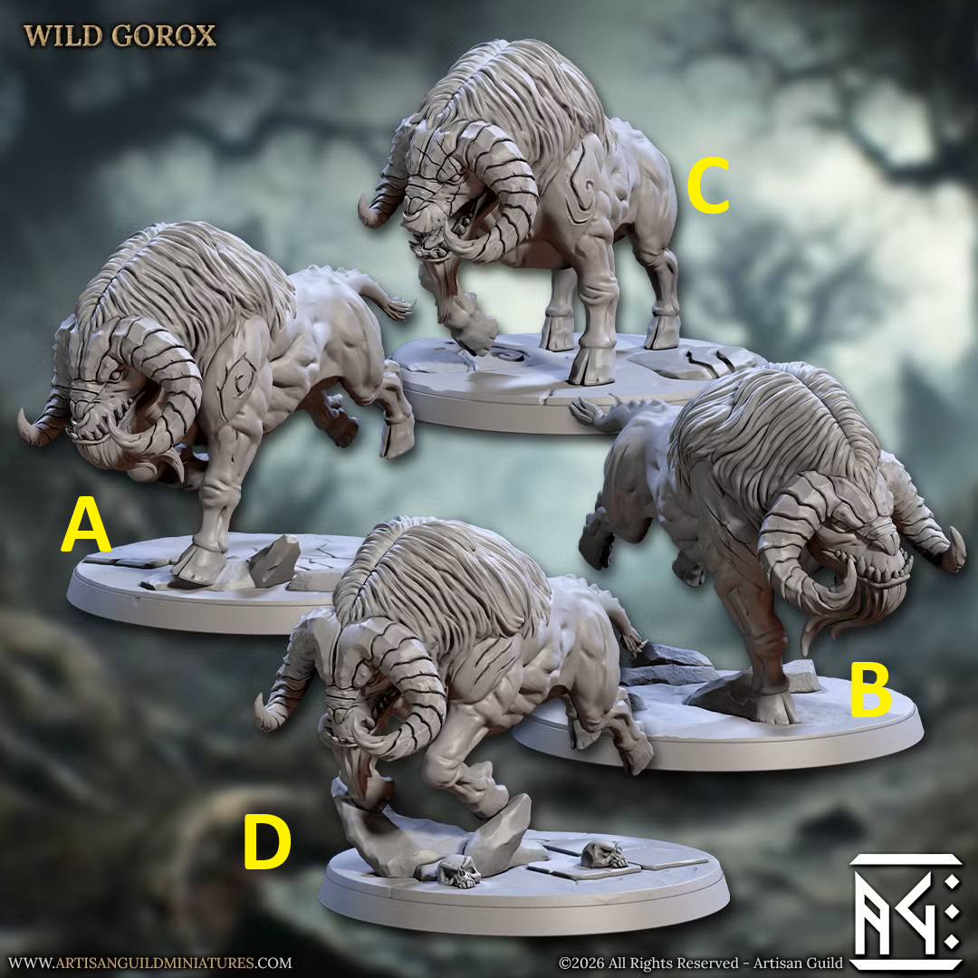 Gorox Riders