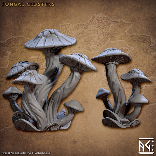Fungal Clusters