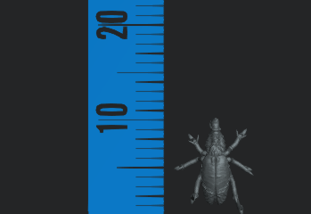 Xeno Fly Acid Pukers