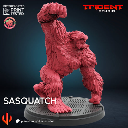 Sasquatch FanArt