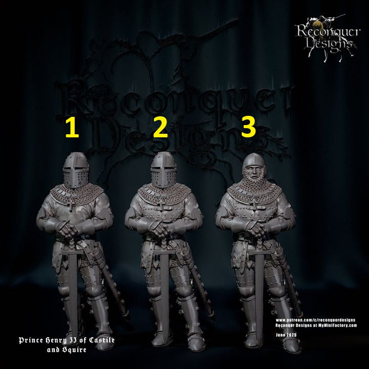 Prince Henry 33 Of castile and Squire