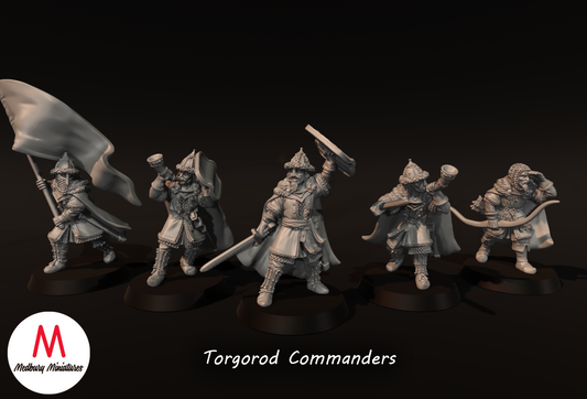 Torgorod Commanders