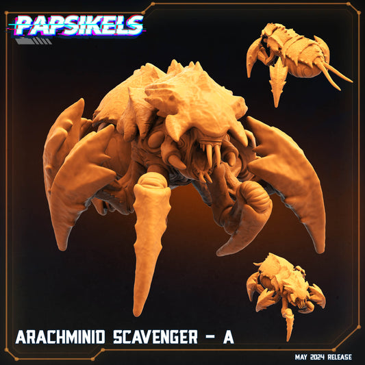 Arachminid Scavenger (5 variantes)