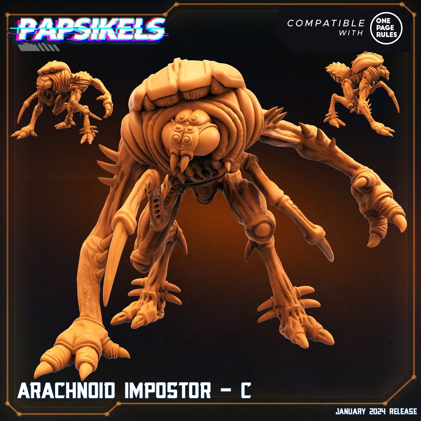 Arachnoid Impostors