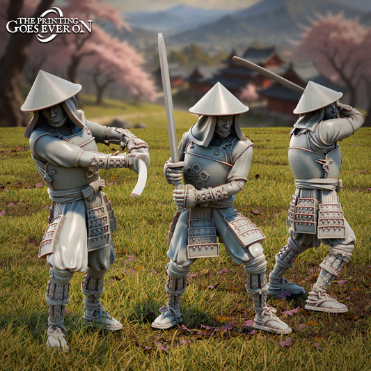 Ashigaru Swordsmen