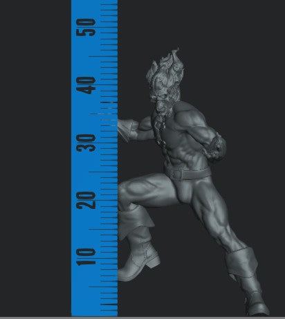 Blazing Skull FanArt