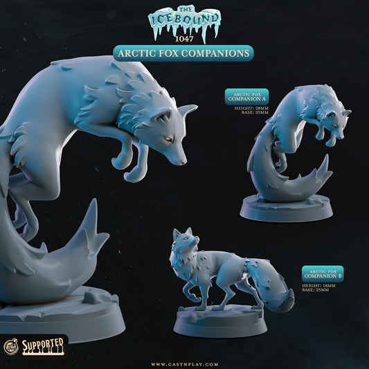 Artic Fox Companions