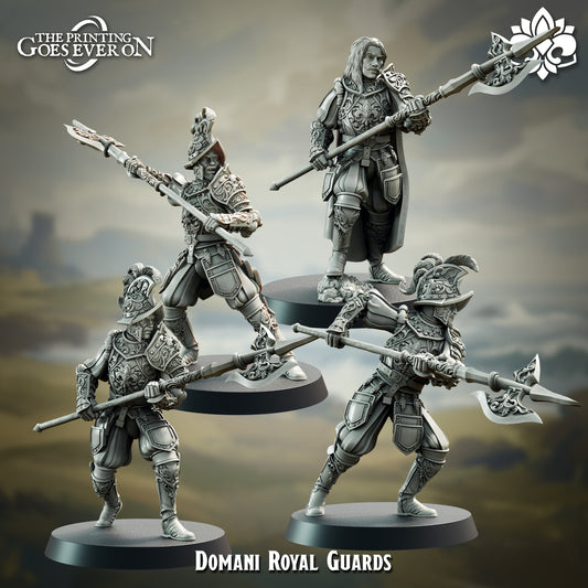 Domani Royal Guards