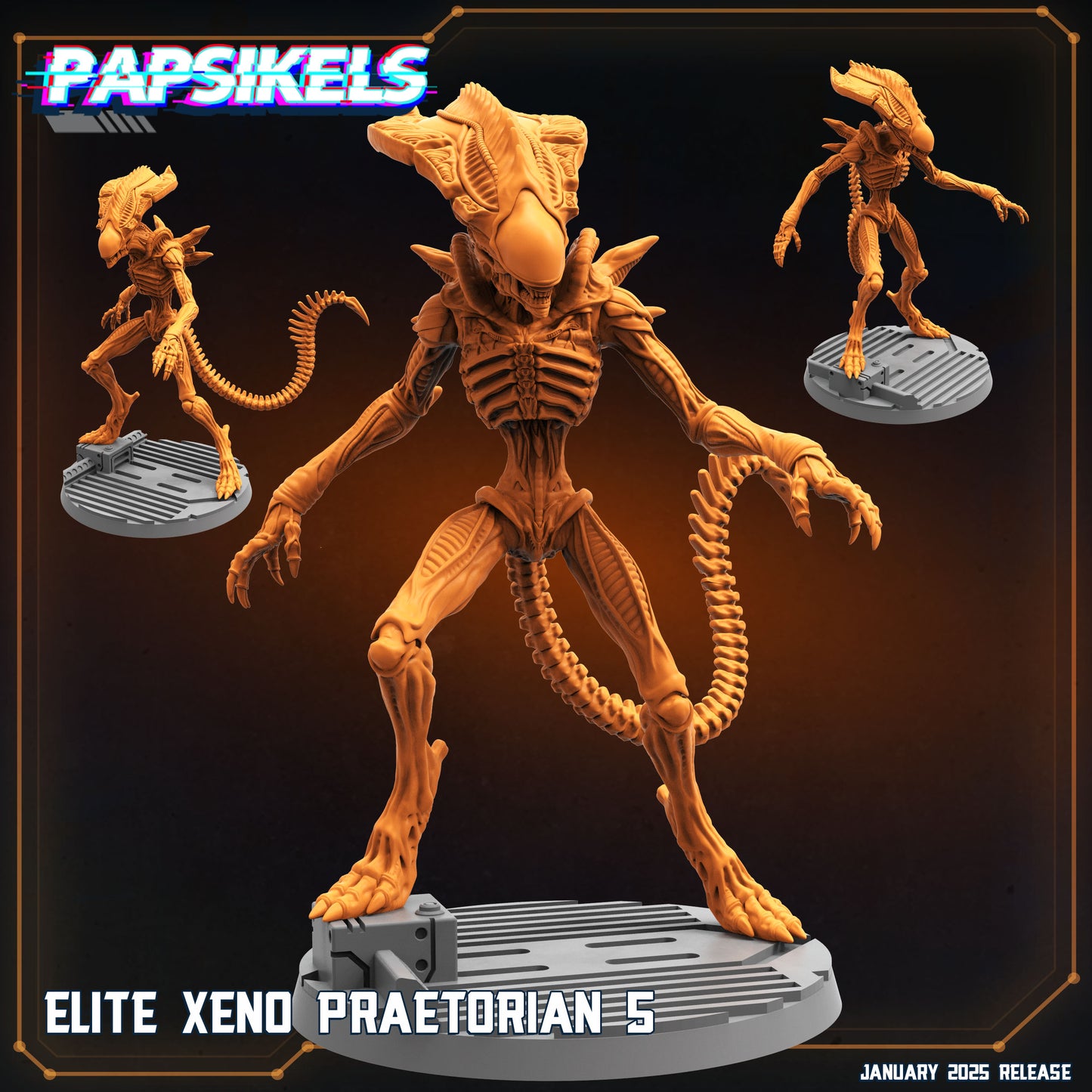 Elite Xenon Praetorian (6 modelos)