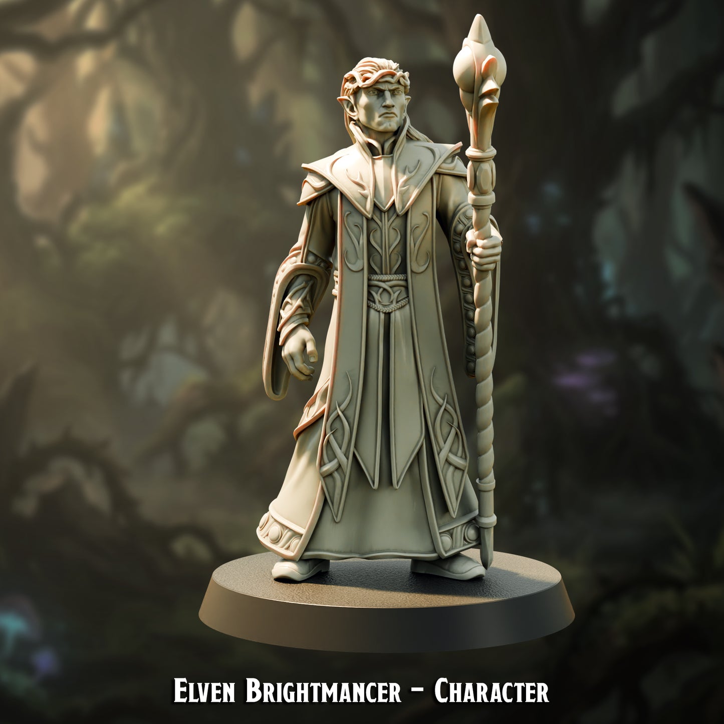 Elven Brightmancer - Character