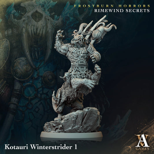 Kotauri Winterstrider (4 variantes)