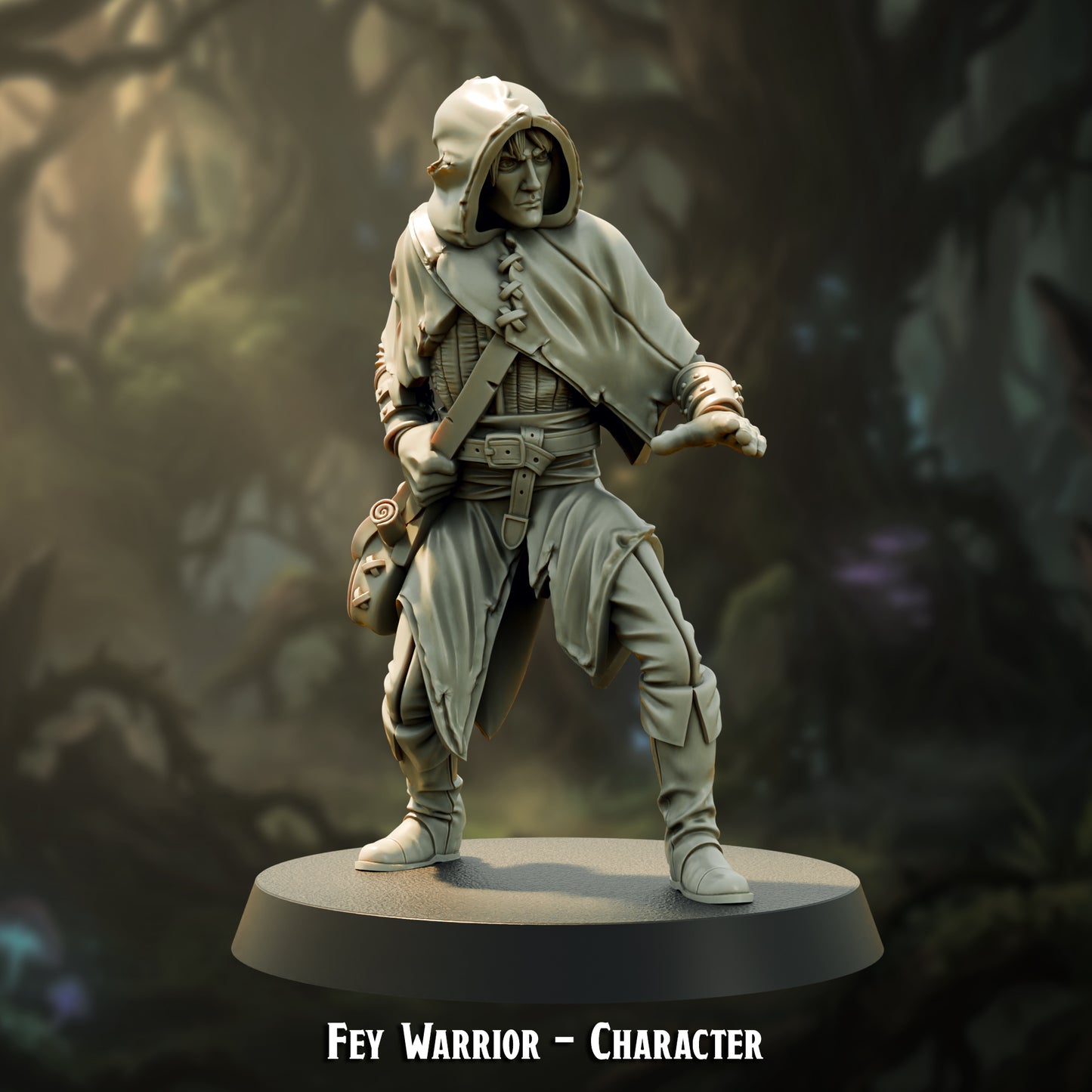 Fey Warrior - Character