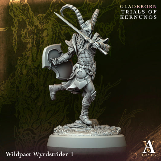 Wildpact Wyrdstrider (4 modelos)