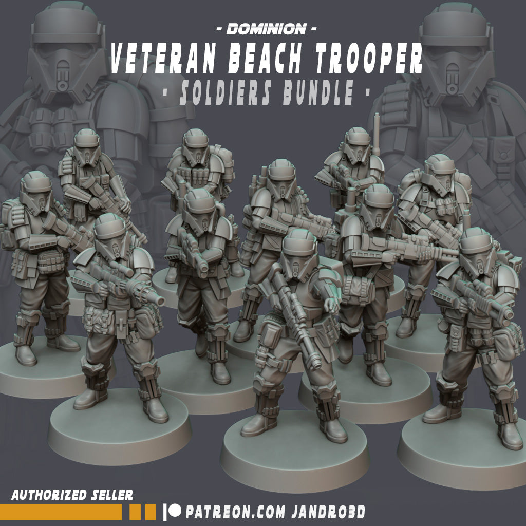 Veteran Beach Trooper