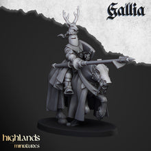 Cargar imagen en el visor de la galería, Knights  of Gallia / CG
