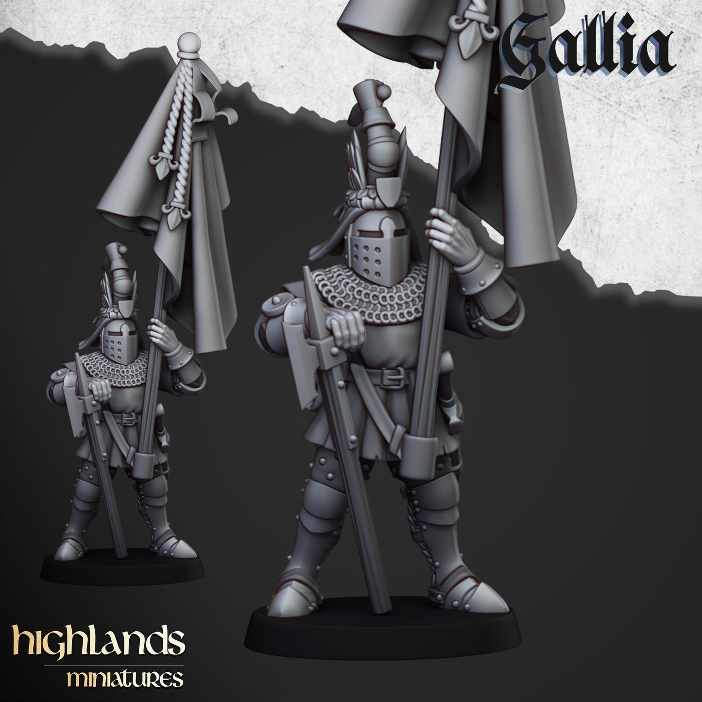 Knights of Gallia on foot / CG