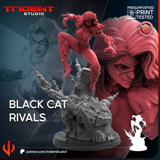 Black Cat Rivals FanArt