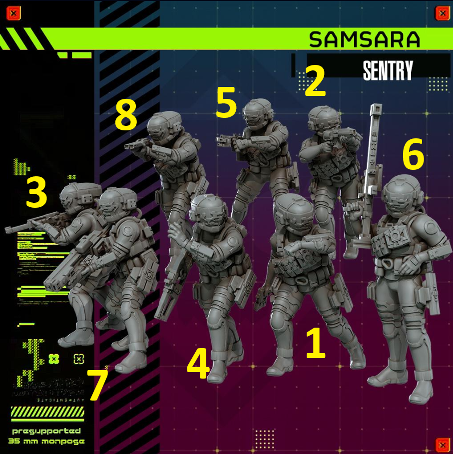 Samsara Sentry