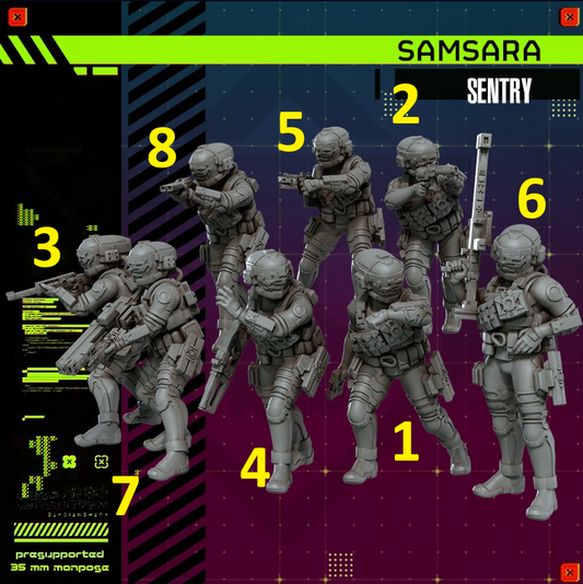 Samsara Sentry