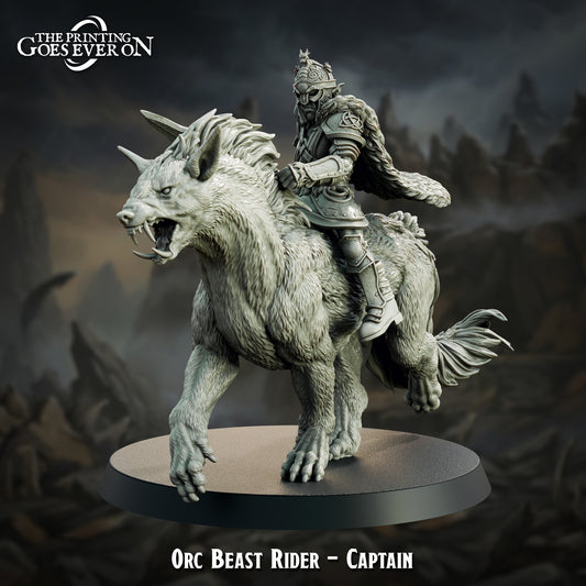 Orc Beast Rider (5 modelos)