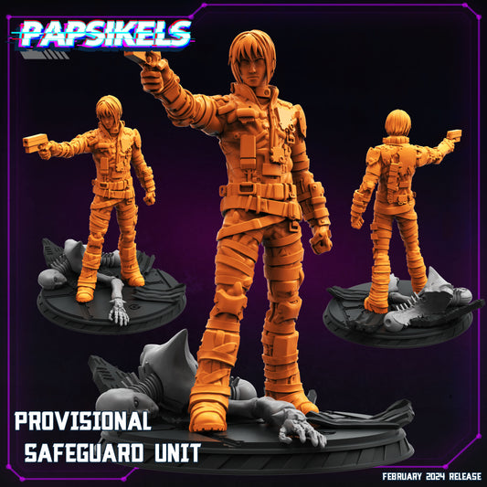 Provisional Safeguard unit