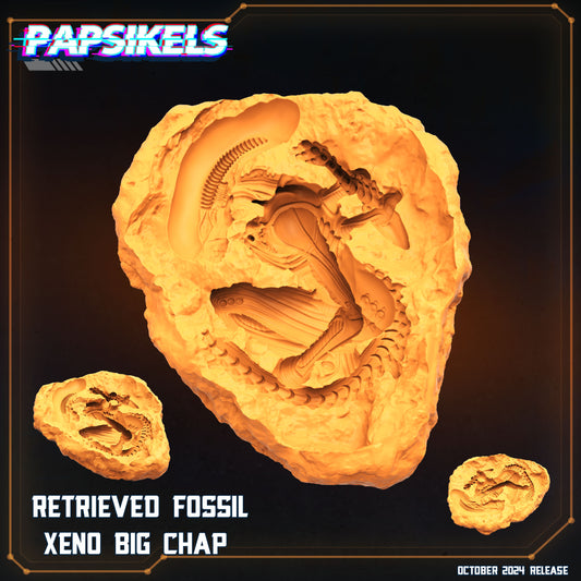 Retrieved Fossil Xeno Bog Chap