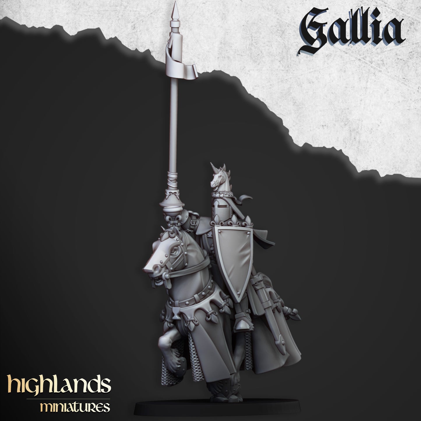 Royal Knights of Gallia / CG