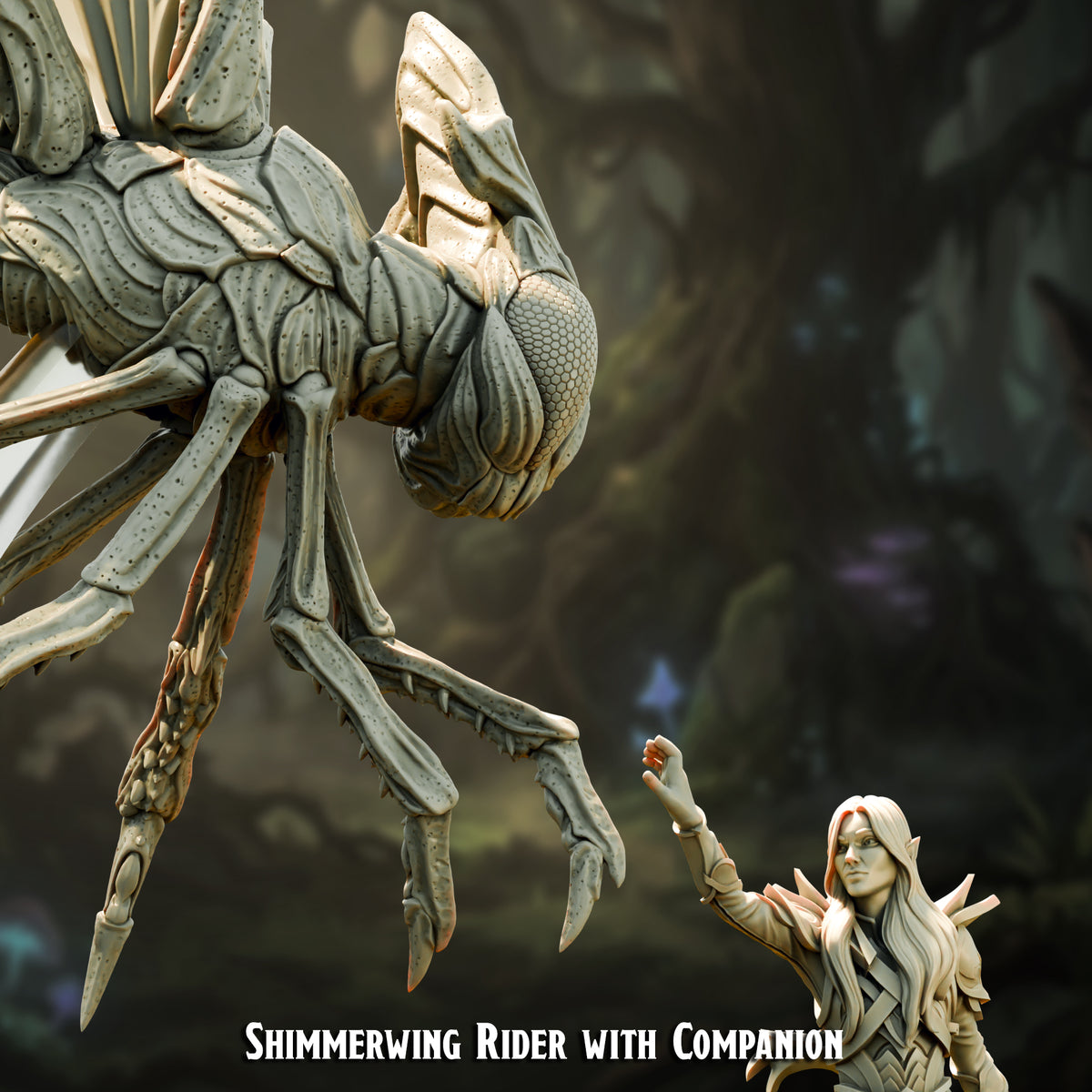 Shimmerwing Rider with Companion