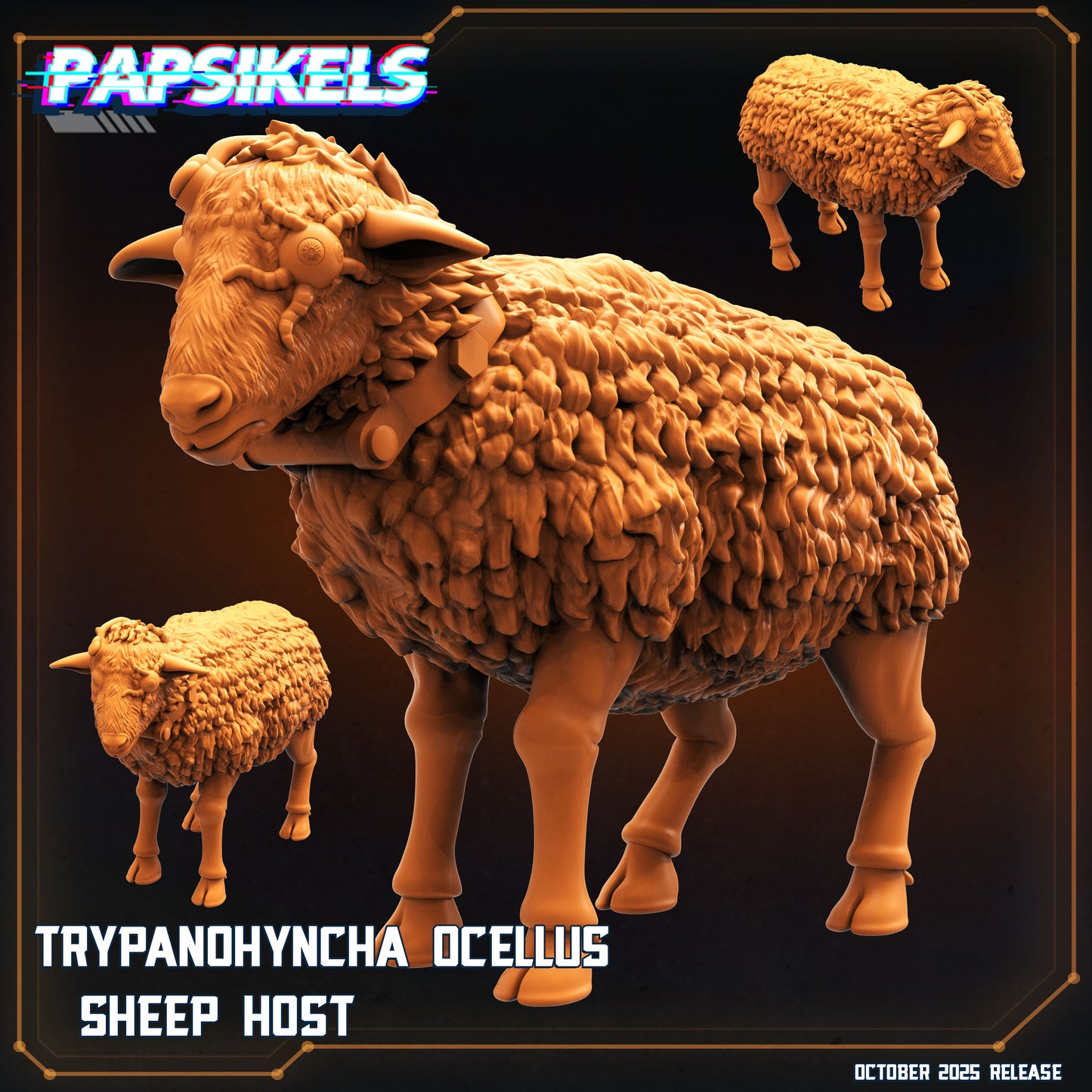 Trypanohyncha Ocellus Sheep Host
