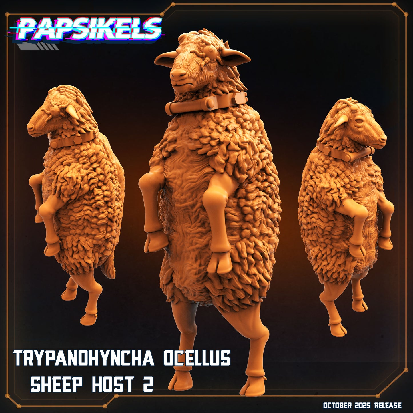 Trypanohyncha Ocellus Sheep Host