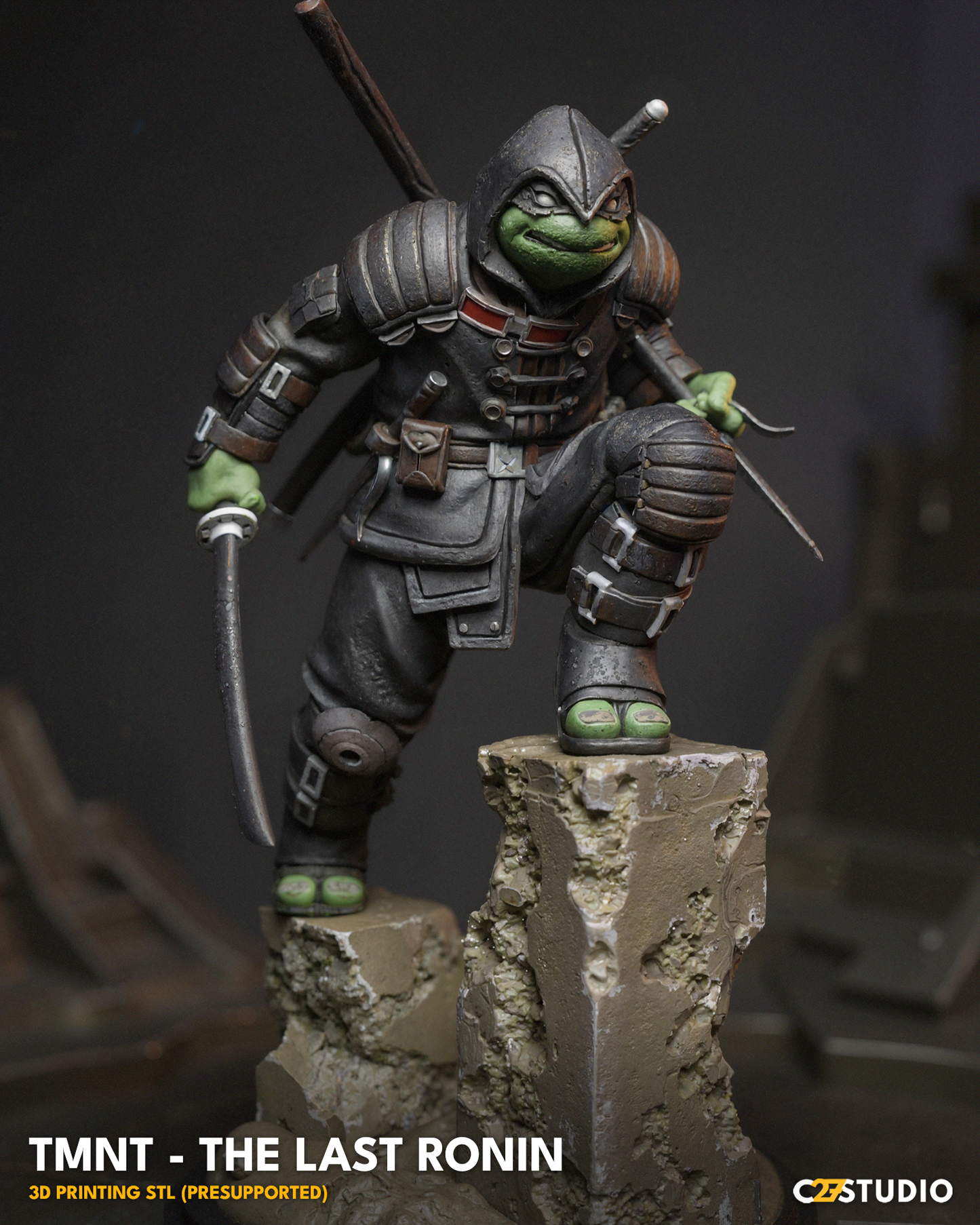 The Last Ronin  FanArt