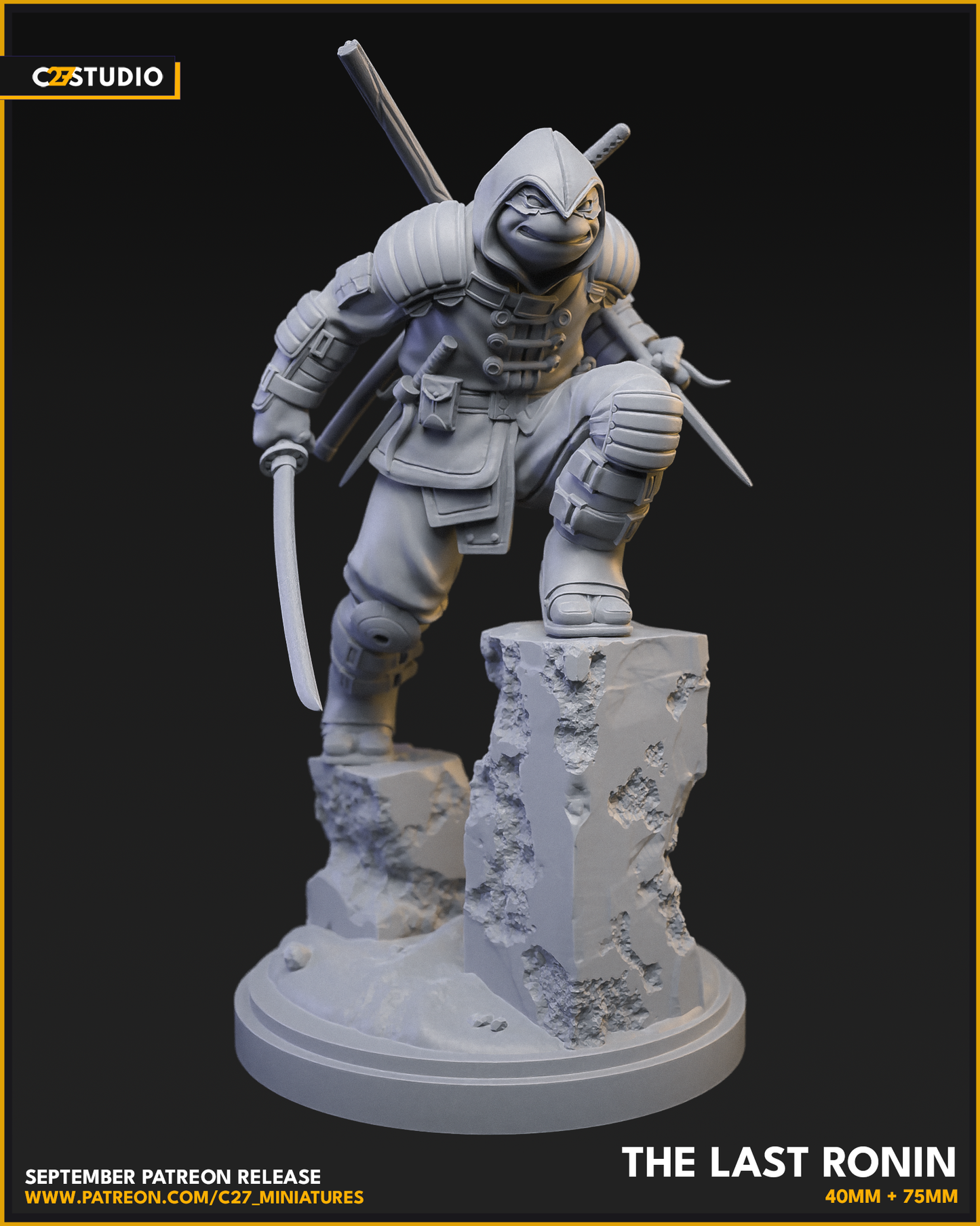 The Last Ronin  FanArt