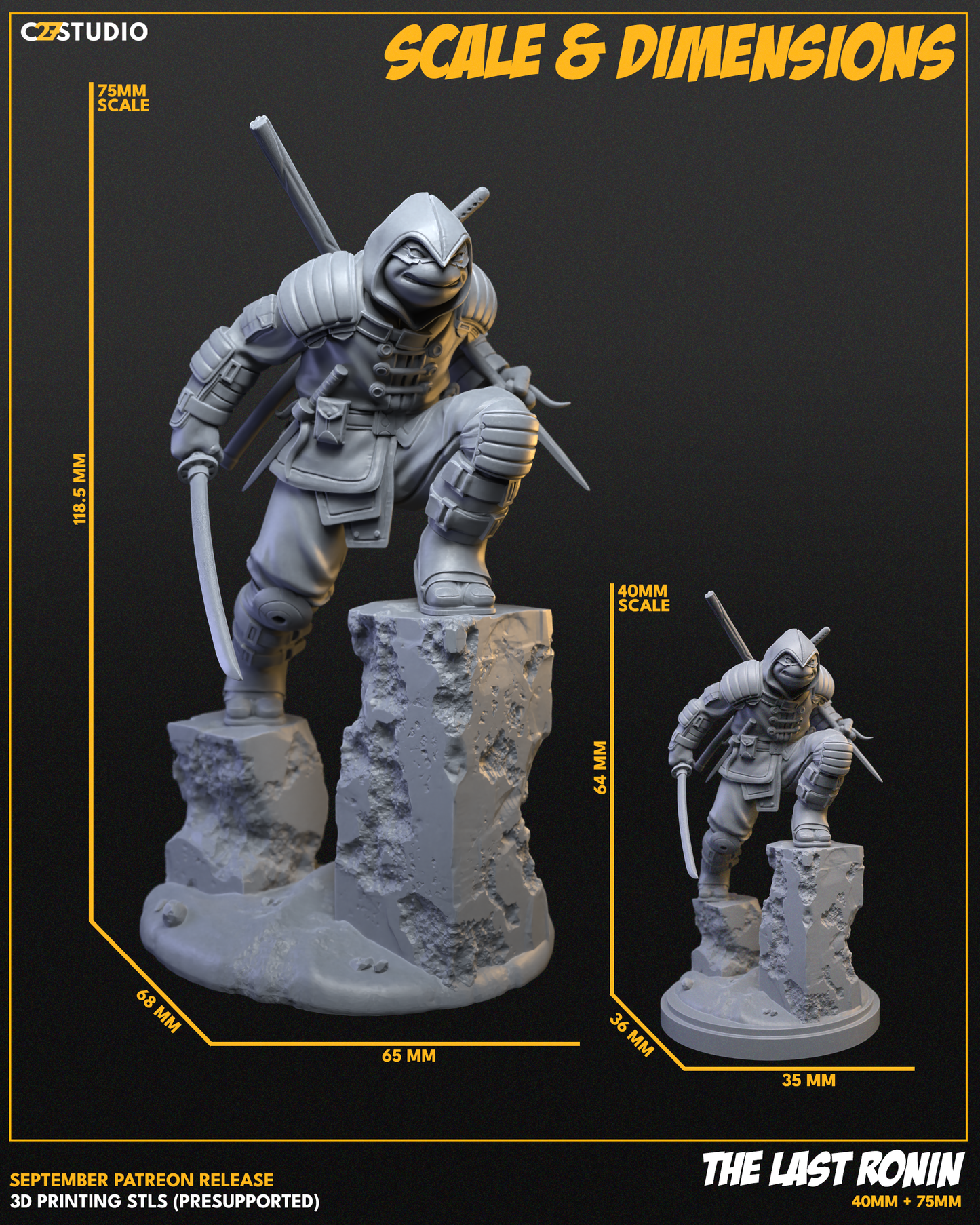 The Last Ronin  FanArt