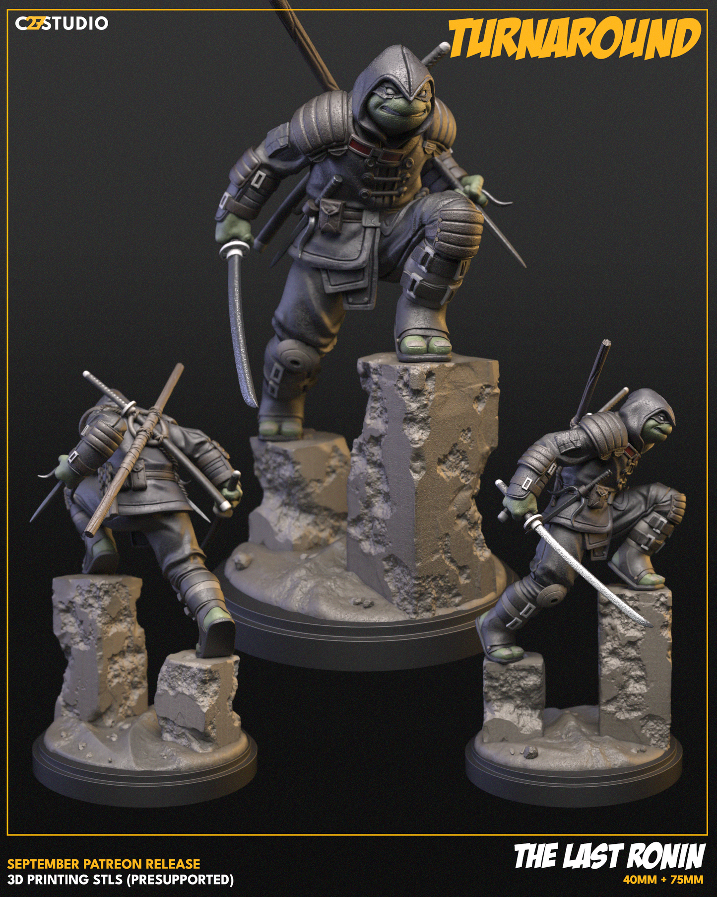 The Last Ronin  FanArt