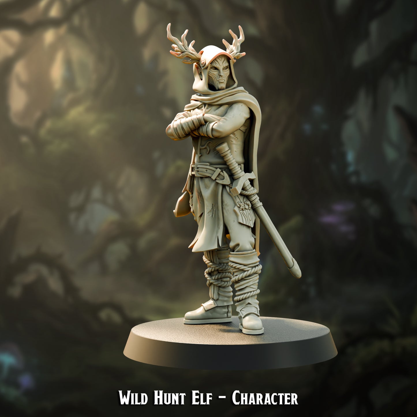 Wild Hunt Elf - Character