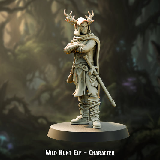 Wild Hunt Elf - Character