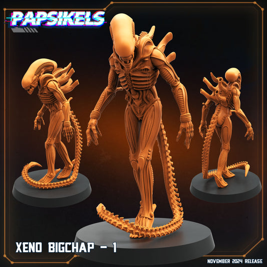 Xeno Bigchap