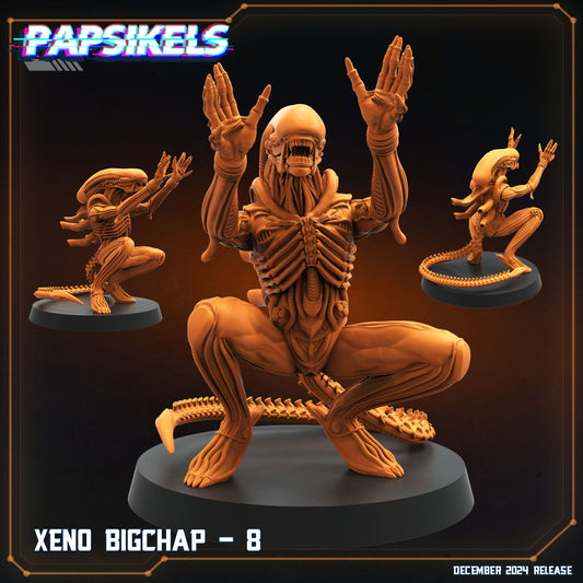 Xeno Bigchap 8