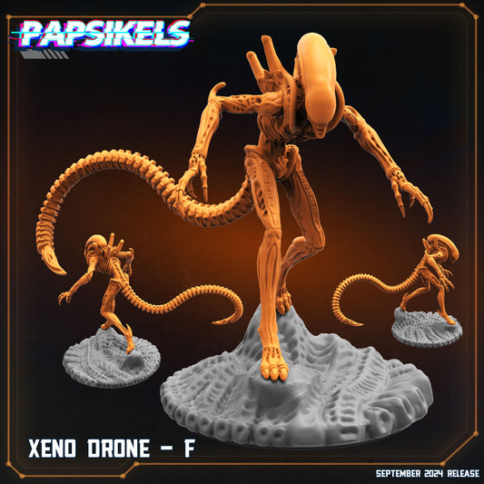 Xeno Drone F