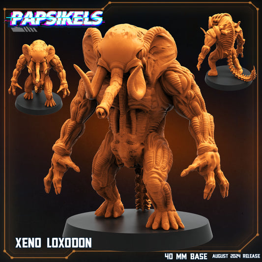 Xeno Loxodon A